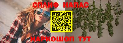 мяу мяу мука Кандалакша
