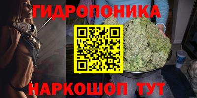мяу мяу мука Кандалакша