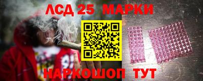мяу мяу мука Кандалакша