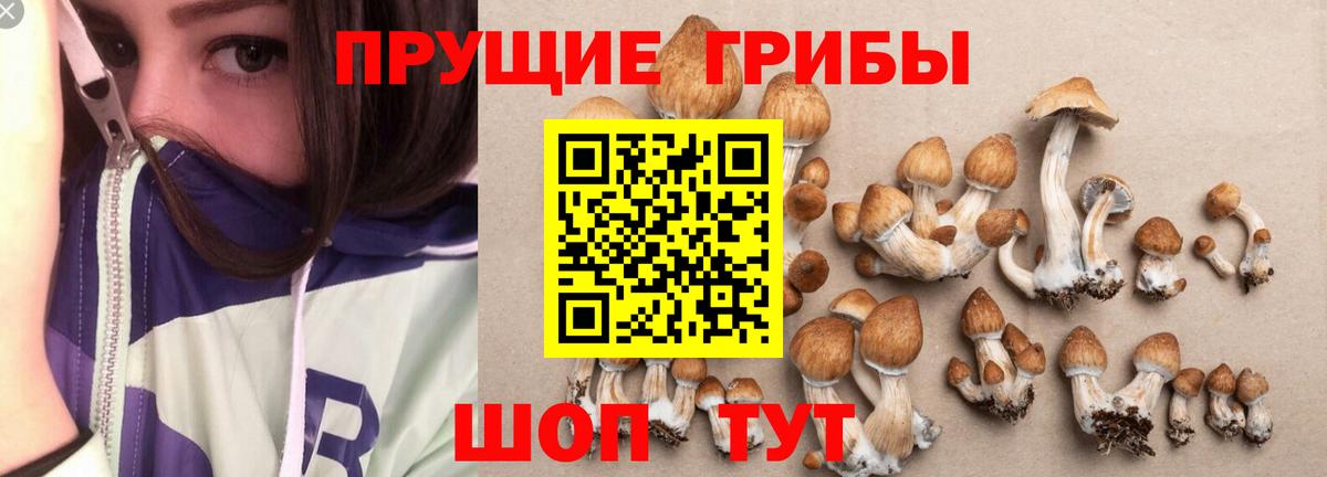Лосино-Петровский  Псилоцибиновые грибы MAGIC MUSHROOMS  Псилоцибиновые грибы мухоморы  Вход с VPN 